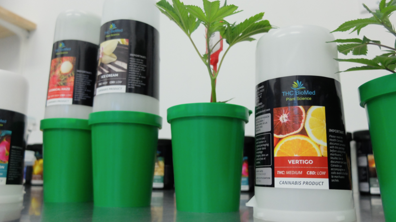where can i buy weed uk